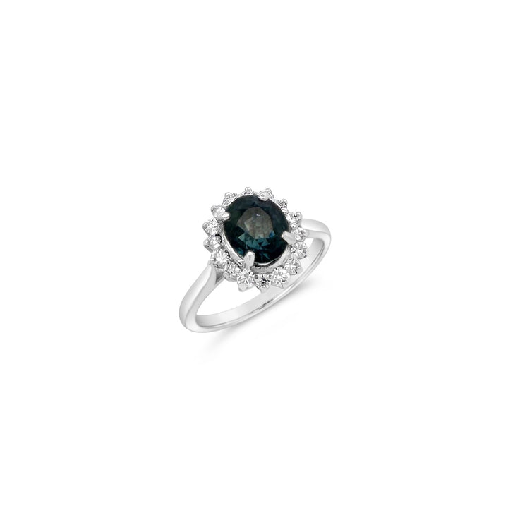 Platinum 2.80ct Sapphire and Diamond Halo NTF Design Ring